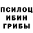 Галлюциногенные грибы GOLDEN TEACHER Krevetka Morskaya
