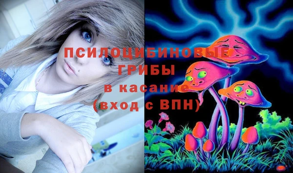 мдпв Куйбышев