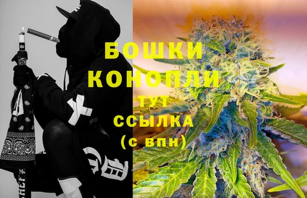 винт Ладушкин