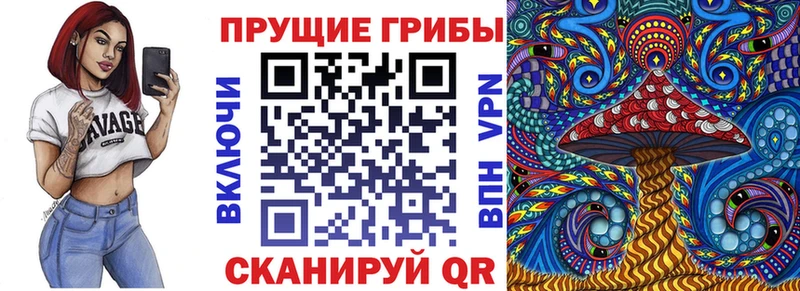 как найти   Сураж  Галлюциногенные грибы Magic Shrooms 