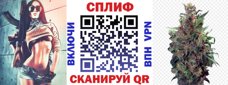 Каннабис индика  купить наркотики цена  Сураж 